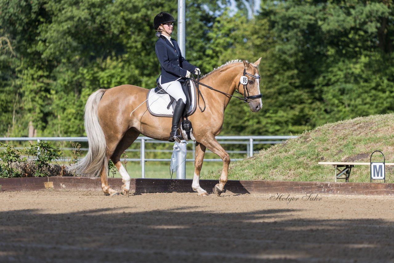 Bild 4 - Pony Akademie Turnier